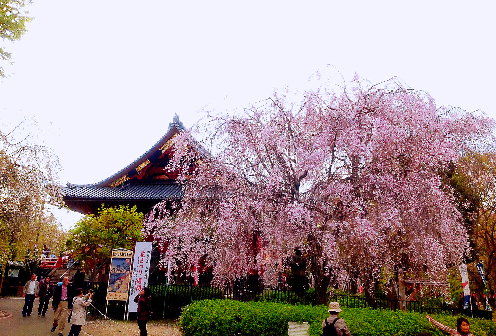 Blog Single