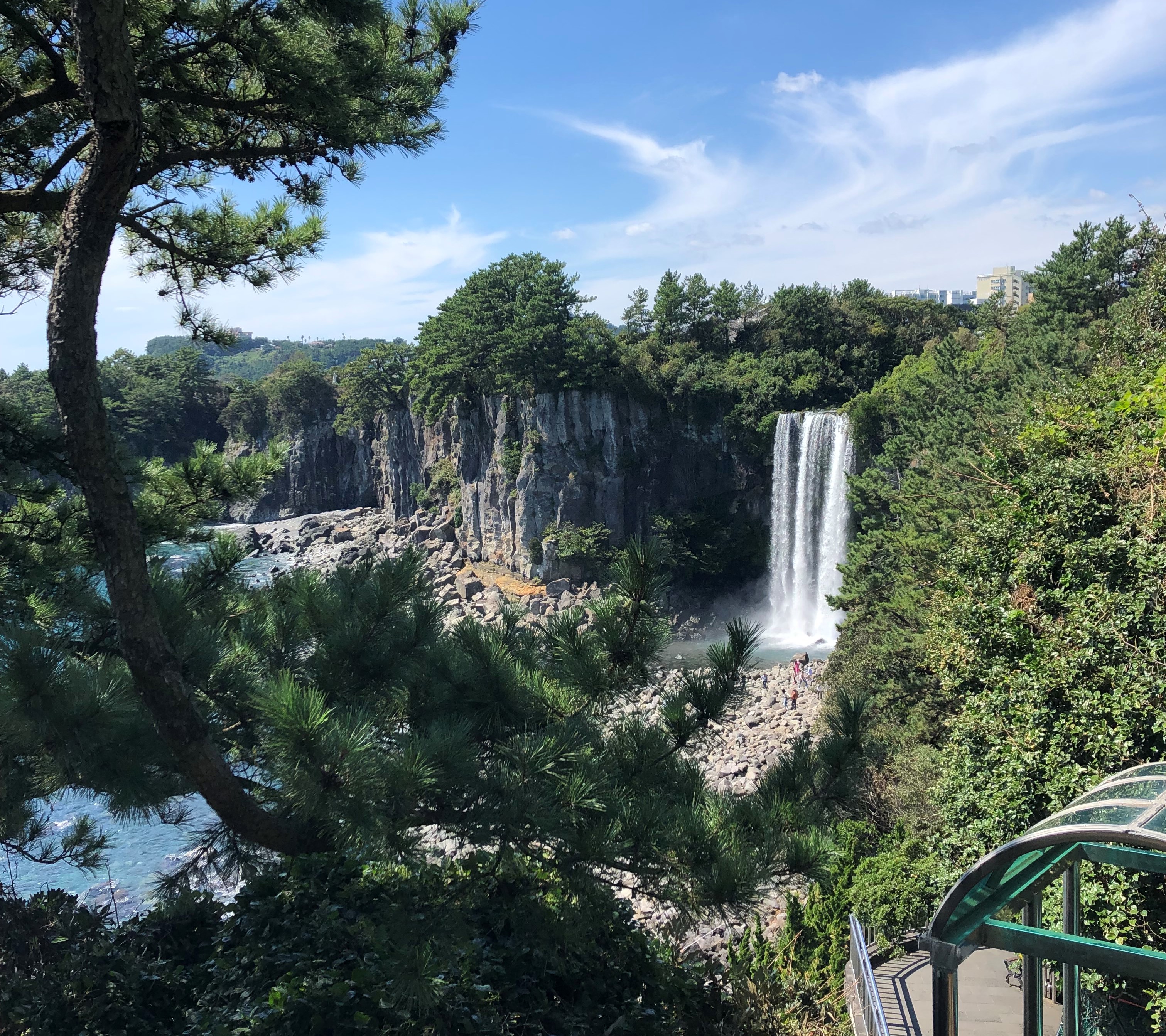 Blog Single