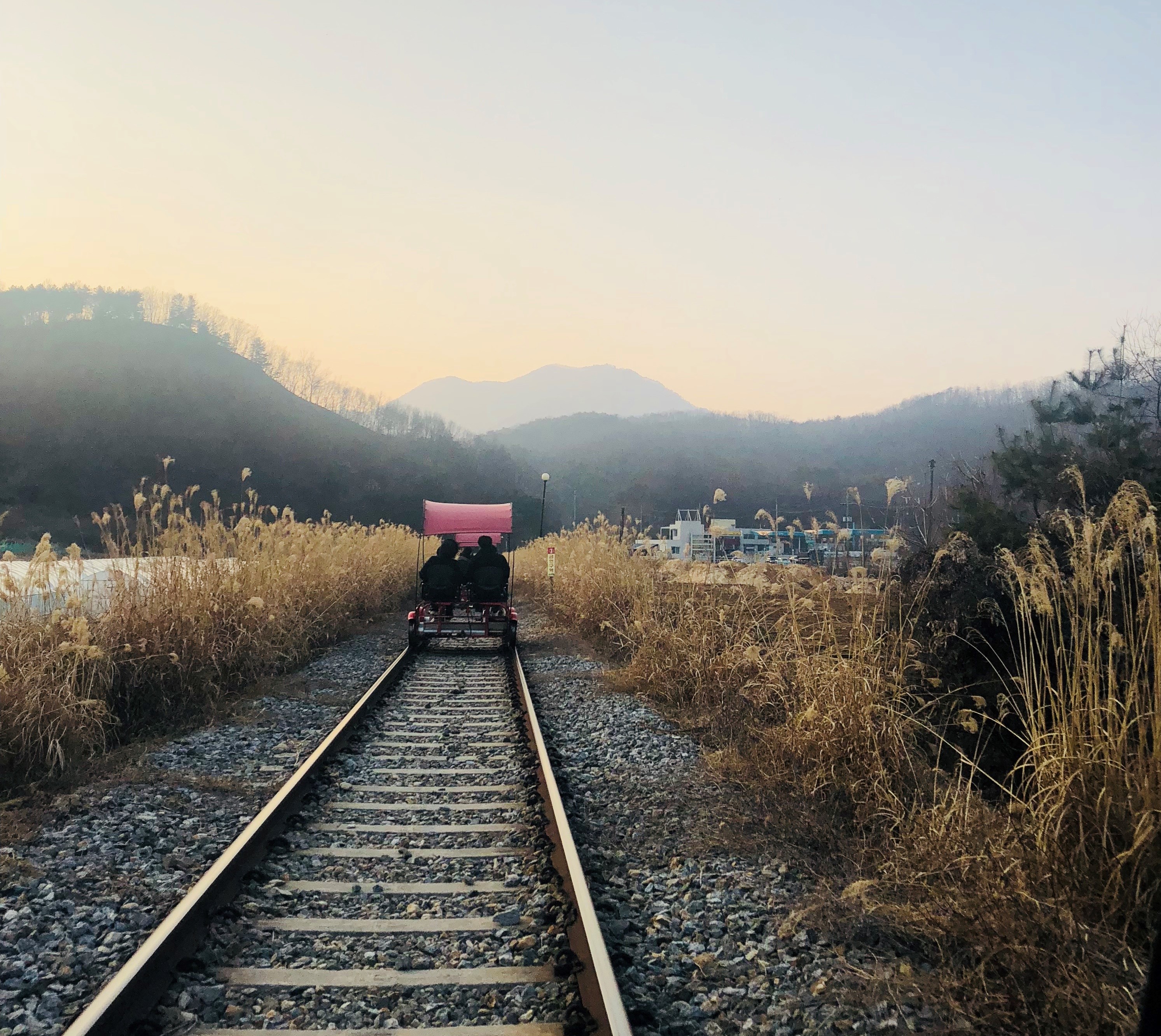 Blog Single