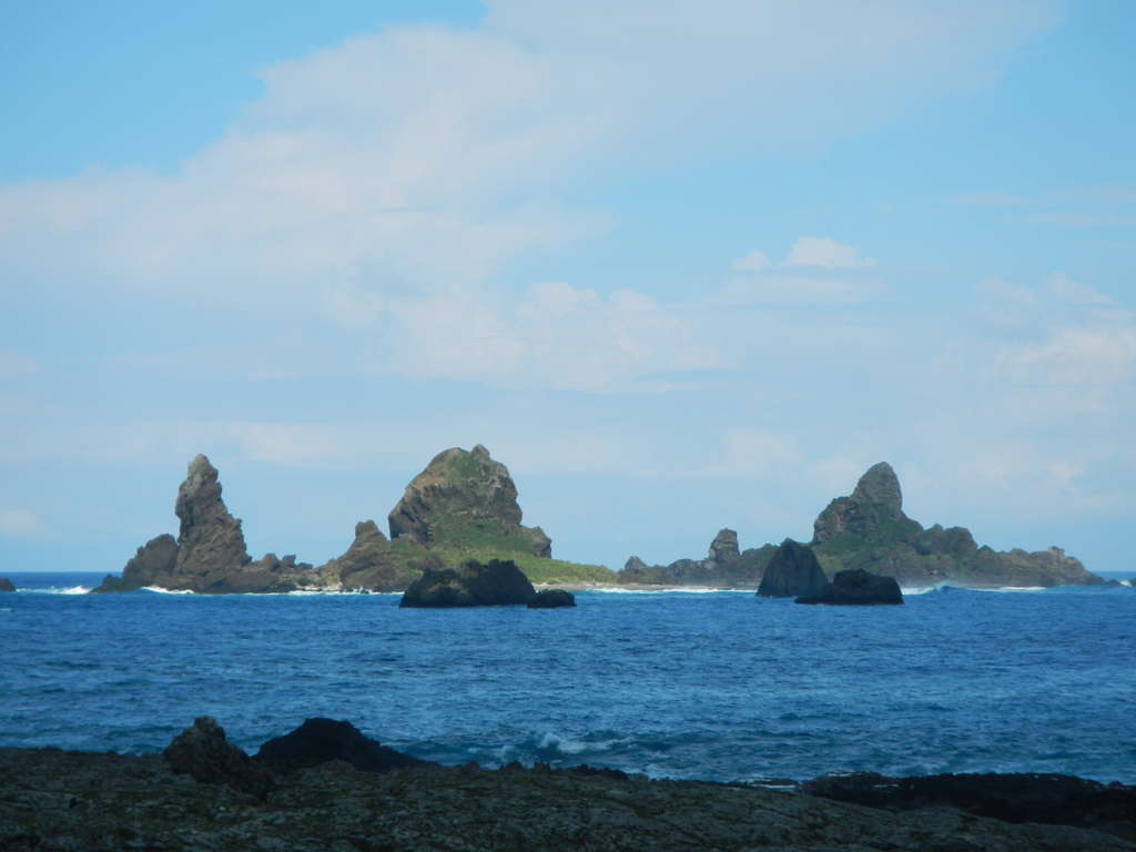 Blog Single