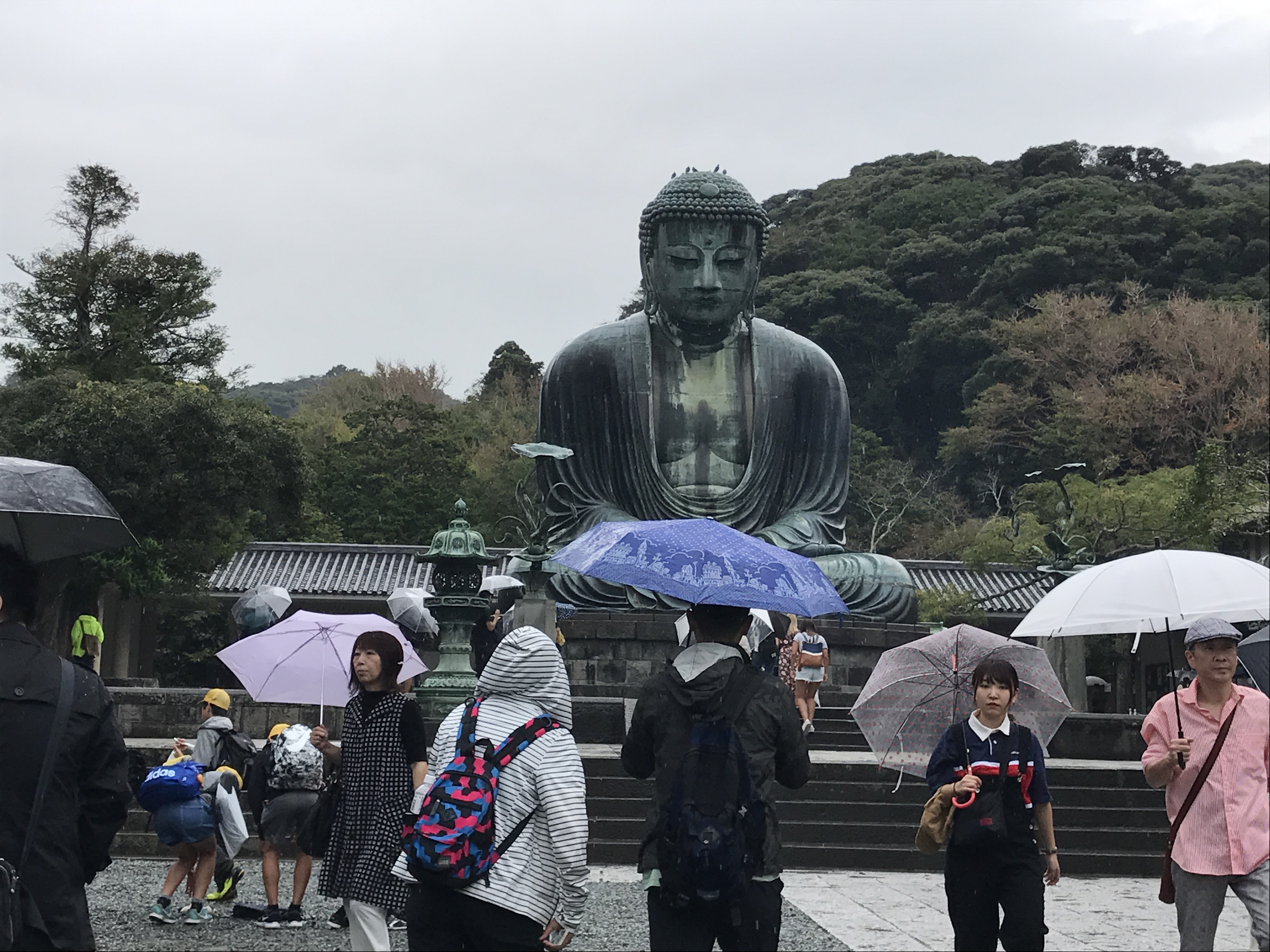Blog Single