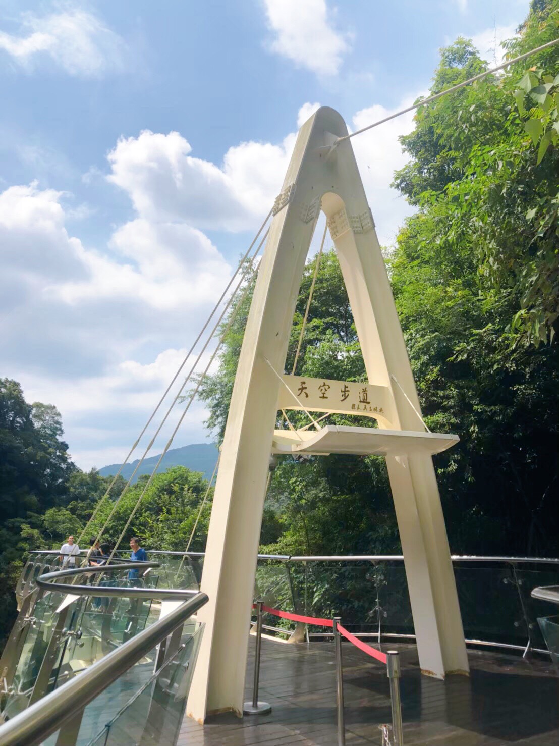 Blog Single